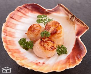A fine scallop appetizer from the Homosassa River 