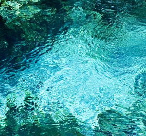 Florida has an abundance of fresh water springs