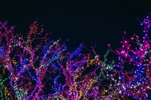 Citrus County holiday christmas lights