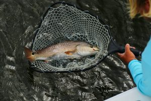 Homosassa River Florida fishing