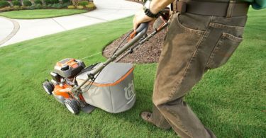 Summer time lawn strategies for Citrus County homeowners
