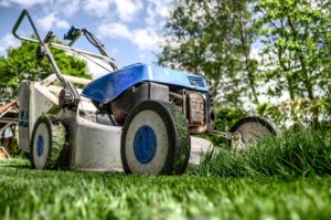 Summer time lawn care in citrus county