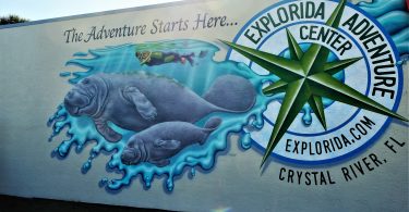 Manatee Mural downtown Crystal River FL, explorida adventure center, swim with the manatee