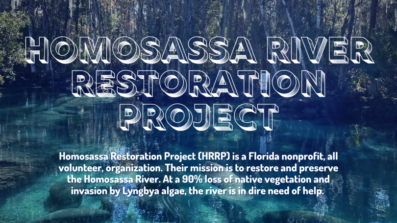 Homosassa River Restoration Project